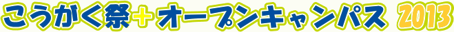Ձ{I[vLpX2013